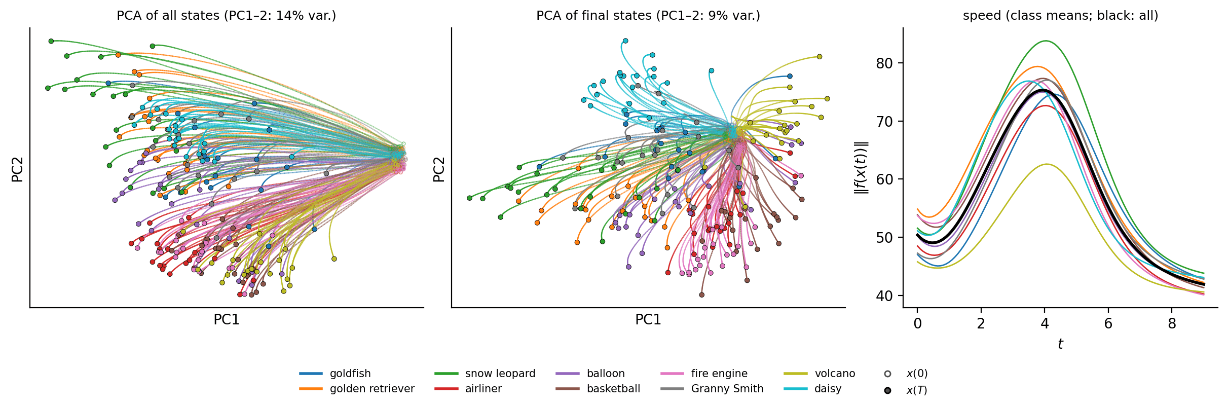 PCA of stage-3 trajectories of the shared ConvNeXt for ten classes, and their speed over depth
